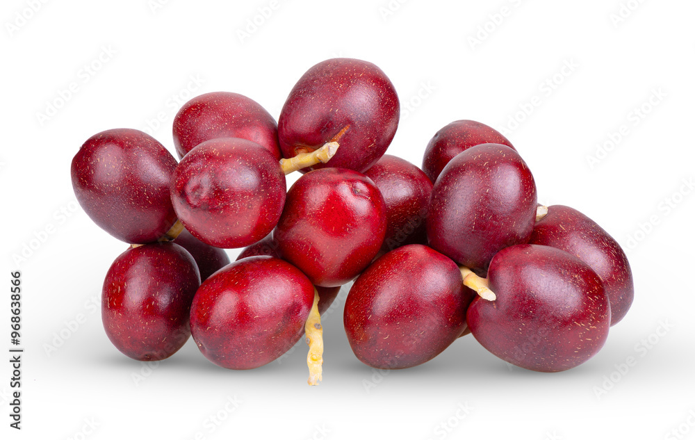 date palm isolated on transparent png date palm isolated on transparent png