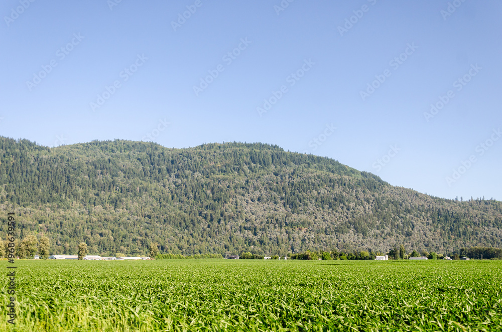 Agricultural farms in Mission, Fraser Valley, BC, Canada Agricultural farms in Mission, Fraser Valley, BC, Canada