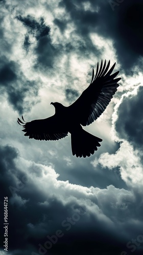 Silhouette of a soaring eagle against dramatic photo