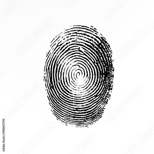 Close-up view of a detailed fingerprint on a transparent  background
