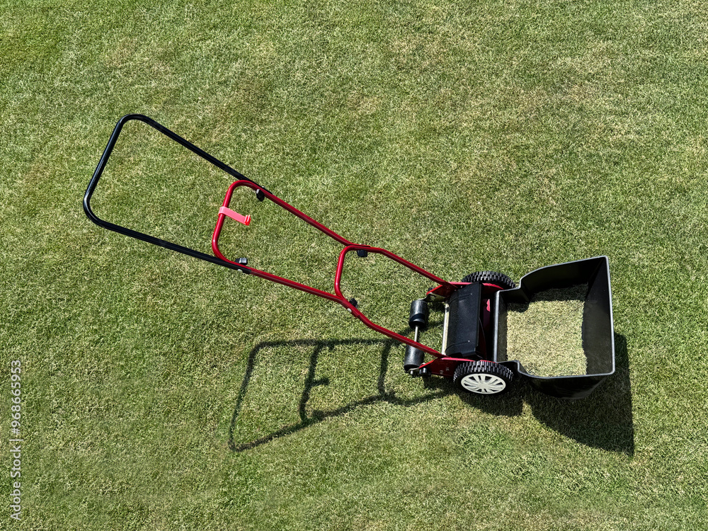 刈高2cmの芝生と手動芝刈り機