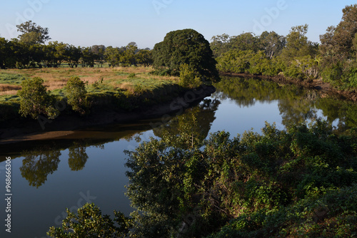Wide shot land mangrove trees rippling water reflections tidal river bend morning sunlight