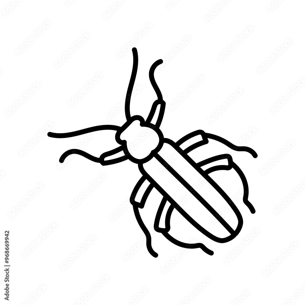 Cantharis Lateralis Outline Icon, Vector illustration Cantharis Lateralis Outline Icon, Vector illustration