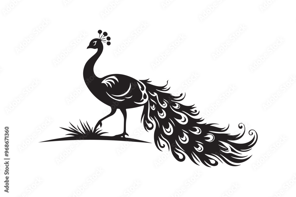 Fototapeta premium Peacock silhouette vector illustration, Peacock silhouette vector , Peacock silhouette , Peacock silhouette PNG. 