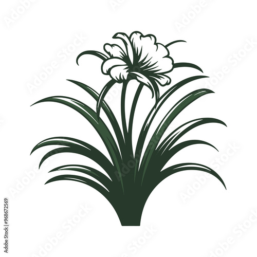 lily flower isolated on white, Generated AI