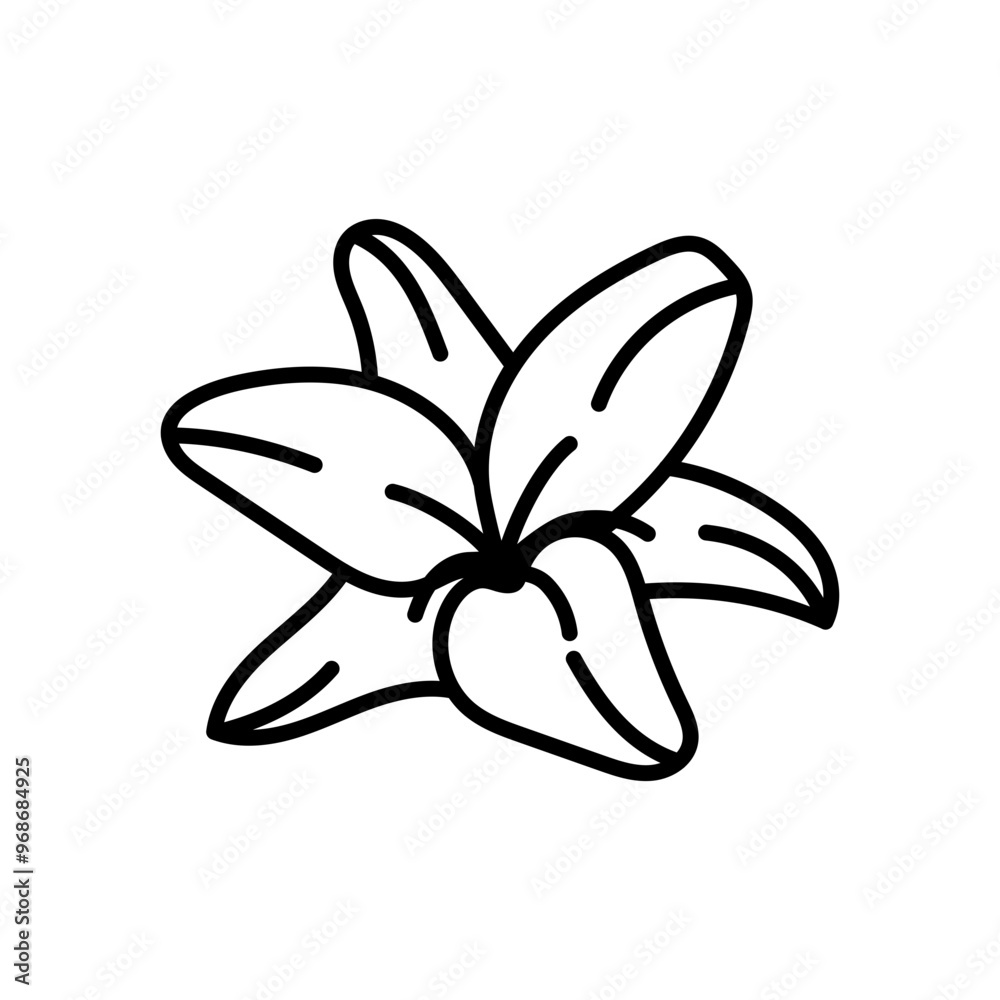 Yellow Lily Outline Icon, Vector illustration Yellow Lily Outline Icon, Vector illustration