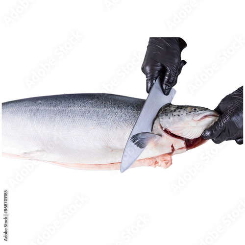 Preparing fresh fish with a sharp knife, showcasing professional fish cleaning and filleting process photo