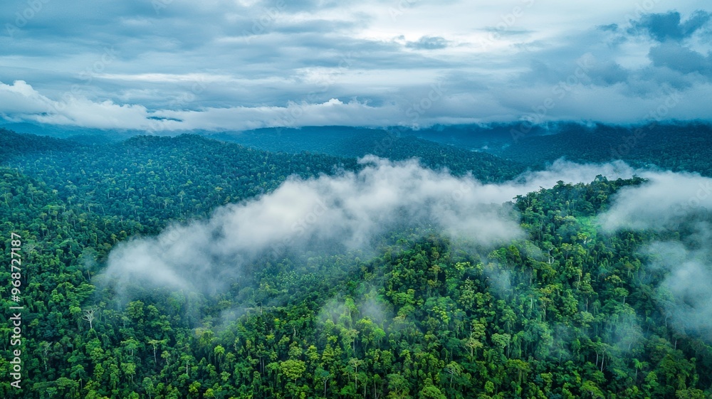 Obraz premium aerial view of rolling cloud at rainforest - ai