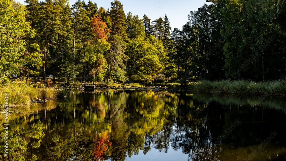 Fototapeta premium Swedish river and natural salomon area in autumn