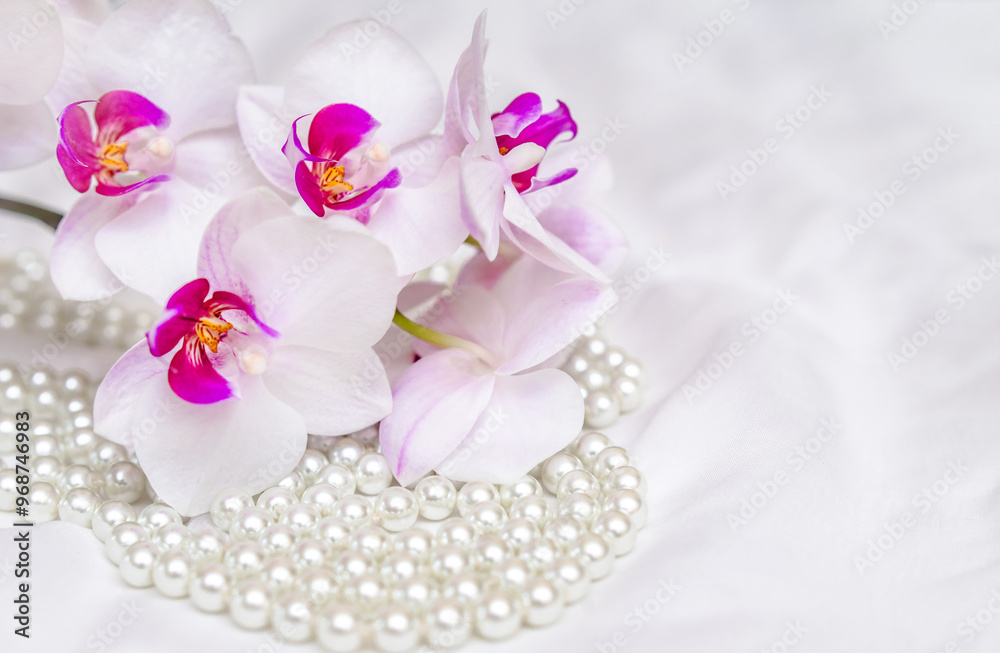 The branch of purple orchids on white fabric background
The branch of purple orchids on white fabric background