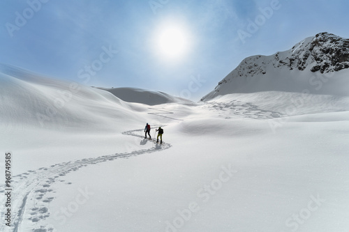 Skis with sealskin photo