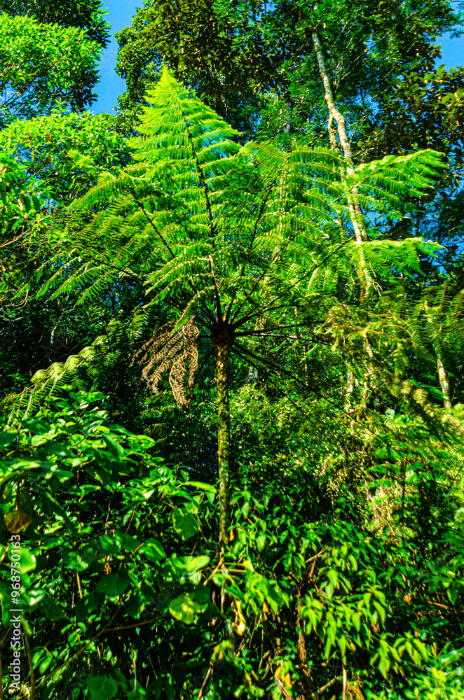 Obraz premium Castelhanos Ilha Bela