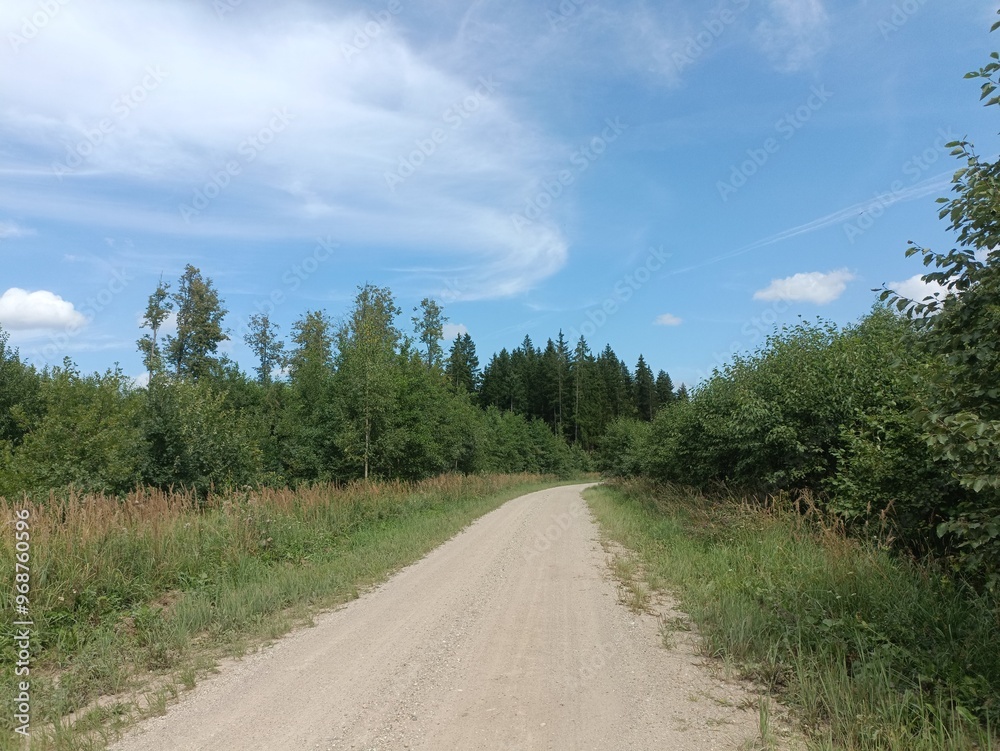 Road in forest in Siauliai county during sunny summer day. Oak and birch tree woodland. Sunny day with white clouds in blue sky. Bushes are growing in woods. Sandy road. Nature. Summer season. Miskas. Road in forest in Siauliai county during sunny summer day. Oak and birch tree woodland. Sunny day with white clouds in blue sky. Bushes are growing in woods. Sandy road. Nature. Summer season. Miskas.