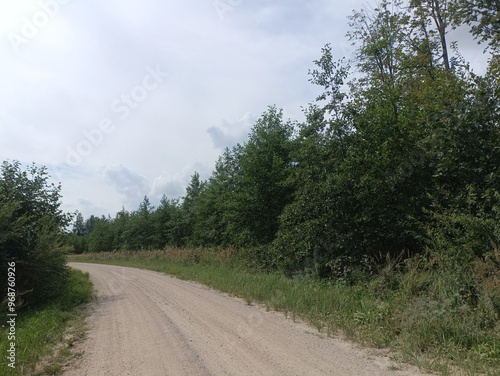 Road in forest in Siauliai county during sunny summer day. Oak and birch tree woodland. Sunny day with white clouds in blue sky. Bushes are growing in woods. Sandy road. Nature. Summer season. Miskas.