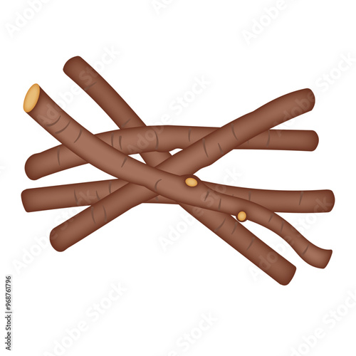 生薬　甘草　カンゾウの根のベクターイラスト