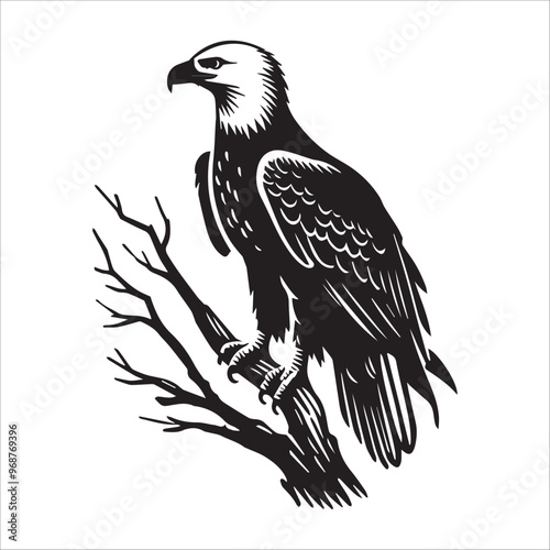 Bald eagle Silhouette Clipart - Eagle Bird Vector Illustration in black and white