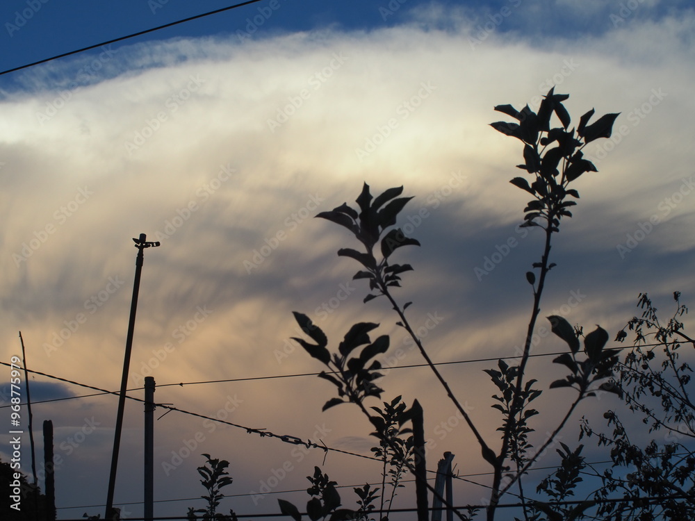 Obraz premium OLYMPUS DIGITAL CAMERA