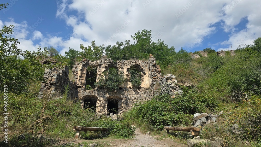 Fototapeta premium ruins in the forest