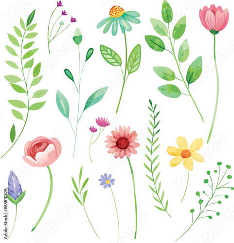 Wild flowers set, watercolor digital illustration. Perfectly for poster, card design. Mother's Day, Birthday, Valentine's day decoration.