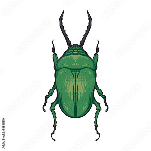 Stag Beetle Drawing, Green Beetle, Kumbang Tanduk, Green Beetle Vector Drawing photo