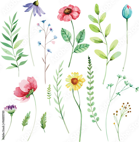 Wild flowers set, watercolor digital illustration. Perfectly for poster, card design. Mother's Day, Birthday, Valentine's day decoration.