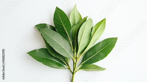 A cluster of fresh green bay leaves arranged on a light background.