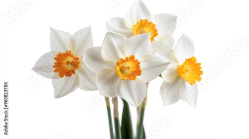 A bouquet of white daffodils with orange centers, symbolizing beauty and springtime.