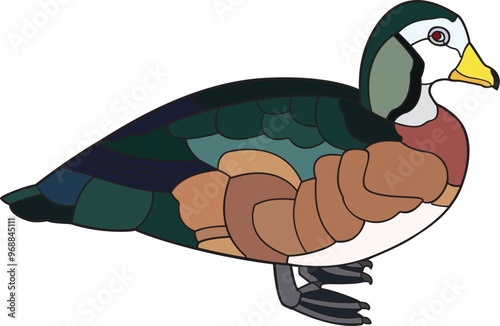 African Pygmy Goose