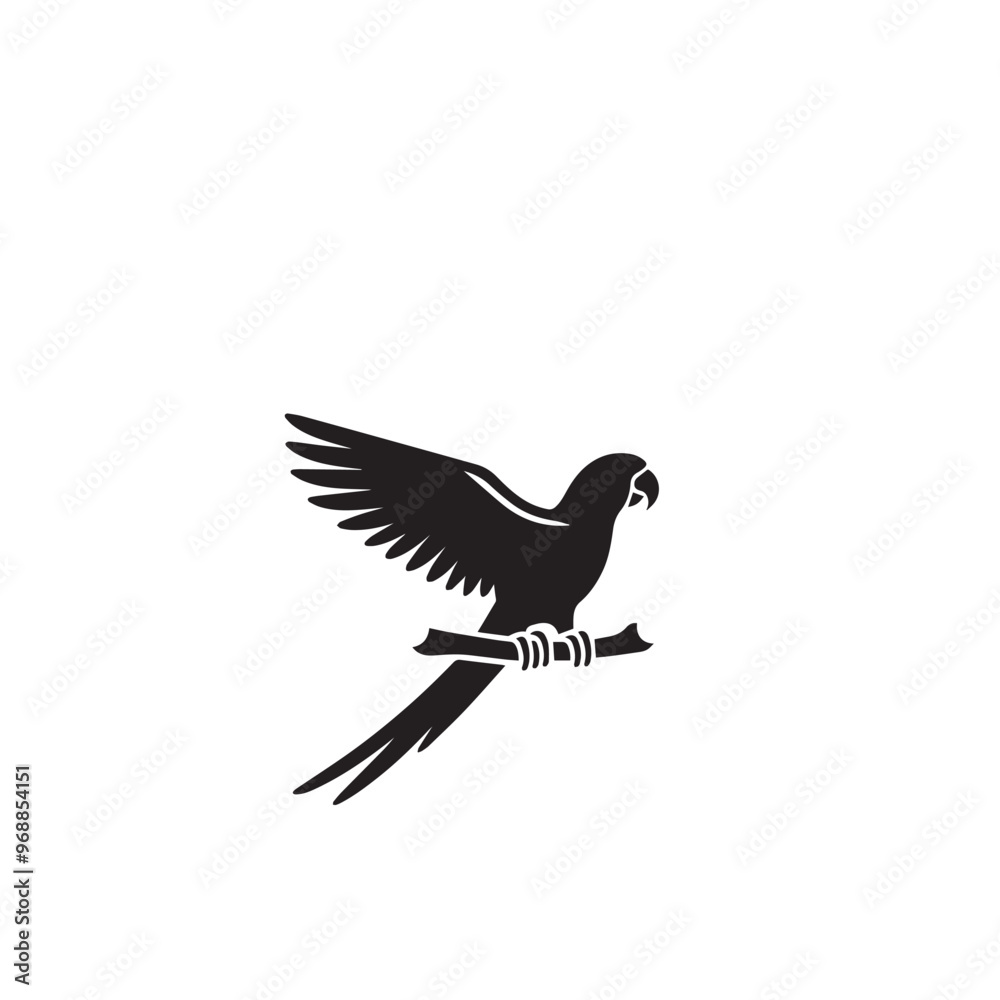 Parrot silhouette. Parrot vector design. Parrot logo, icon black and white. Parrot silhouette. Parrot vector design. Parrot logo, icon black and white.