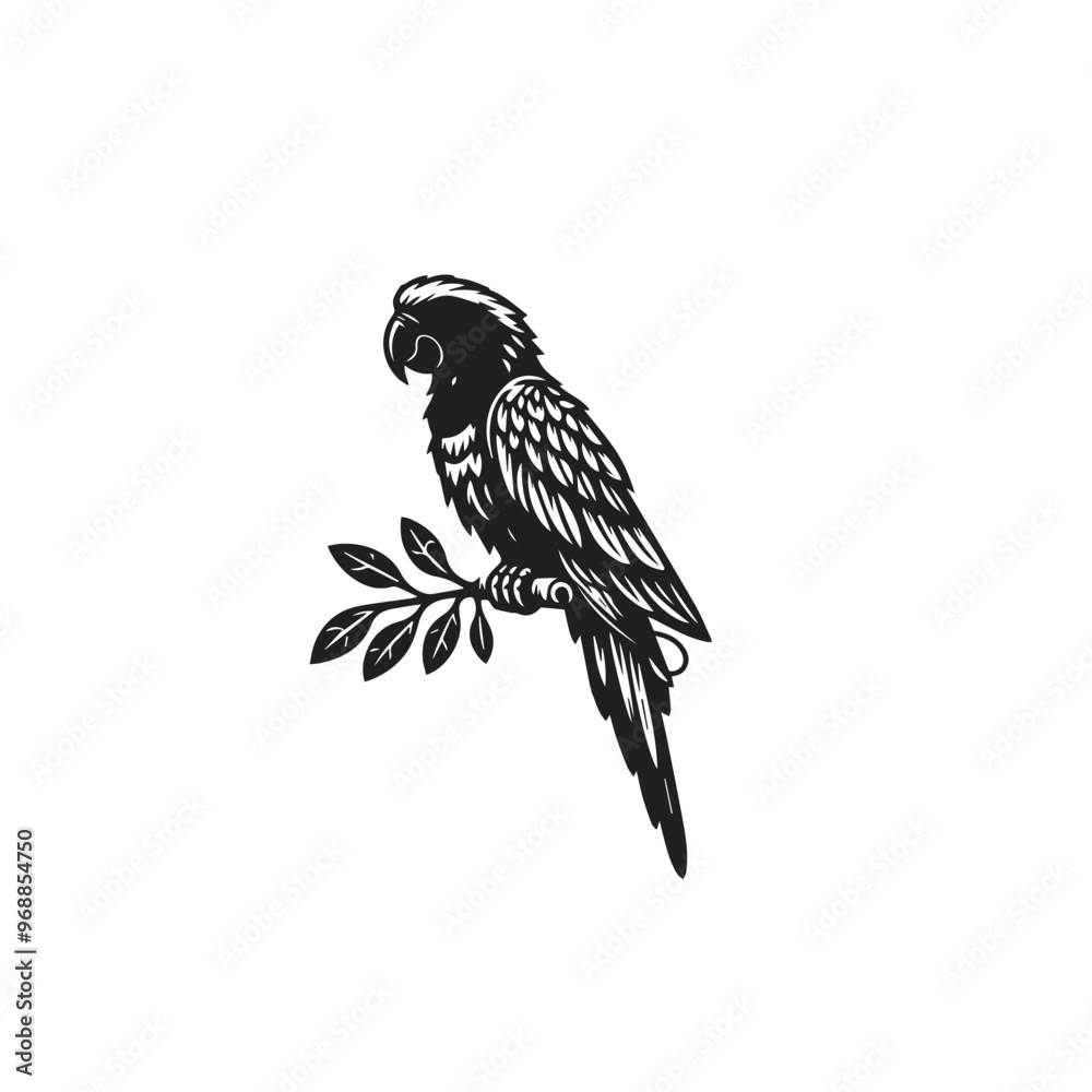 Fototapeta premium Parrot silhouette. Parrot vector design. Parrot logo, icon black and white.