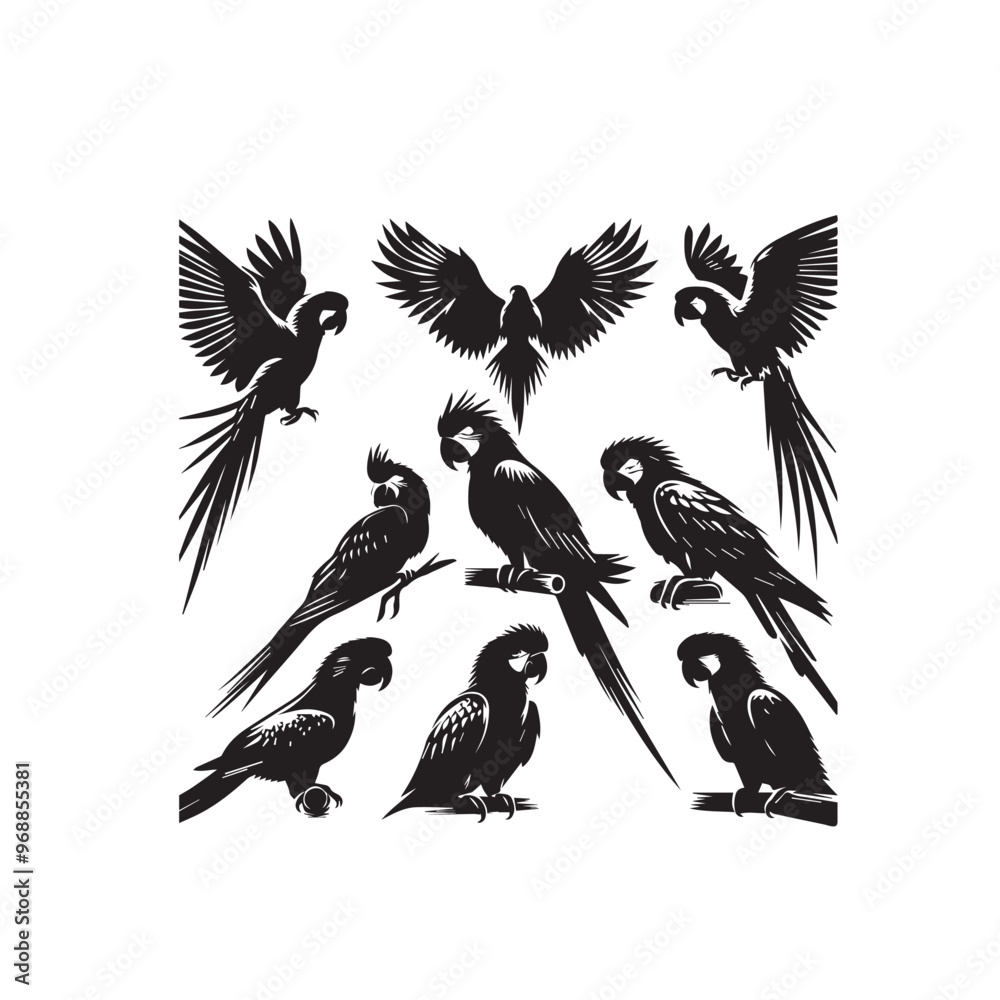 Obraz premium Parrot silhouette. Parrot vector design. Parrot logo, icon black and white.