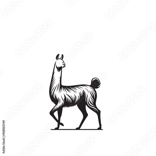 Vicuña Silhouette design. Vicuña Silhouette vector design. Llama vector design. Llama logo.