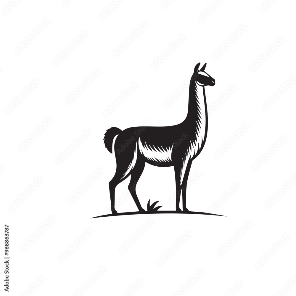 Vicuña Silhouette design. Vicuña Silhouette vector design. Llama vector design. Llama logo. Vicuña Silhouette design. Vicuña Silhouette vector design. Llama vector design. Llama logo.