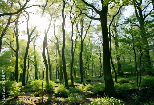 A magical forest with trees made of glass casting a beautiful pr