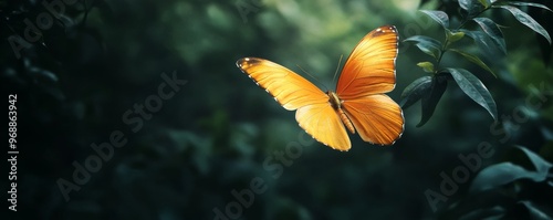 Orange butterfly in a lush forest setting