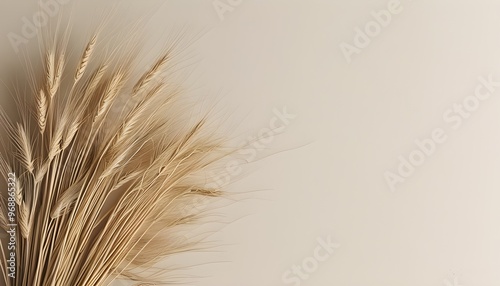 Elegant minimalist vertical background with delicate wheat grass in soft beige, ideal for a serene and stylish aesthetic on social media.