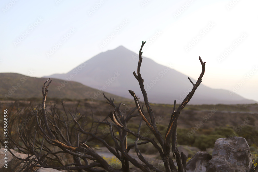 mountain Pico del Teide on Tenerife , Canary Islands, Spain