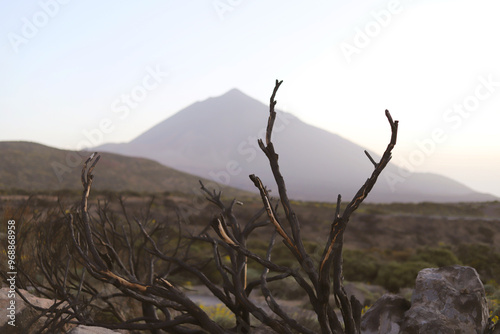 Obraz na płótnie mountain Pico del Teide on Tenerife , Canary Islands, Spain w salonie