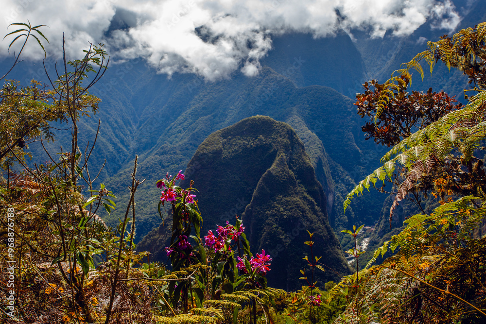 Fototapeta premium Beautiful mountains and wild orchids flowers around Machu Picchu, Peru