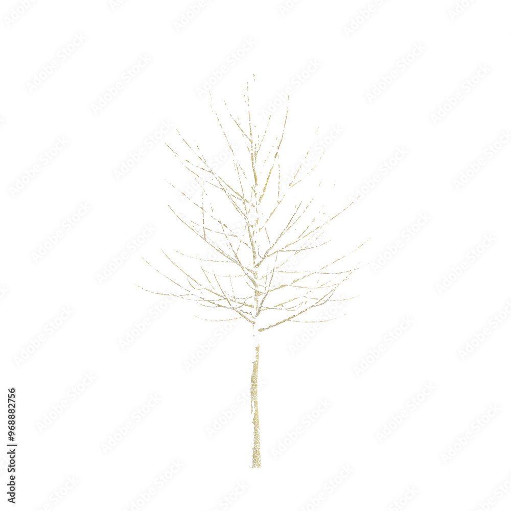 Obraz premium Christmas Trees Covered in Snows with transparent canvas