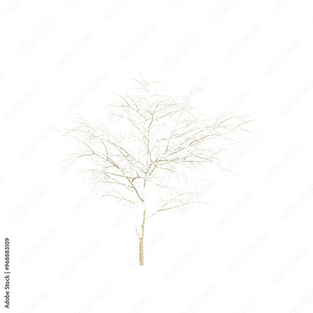 Fototapeta premium Isolated Snow Covered tree jungle