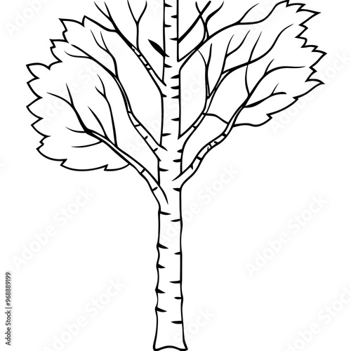birch tree outline coloring book page line art drawing