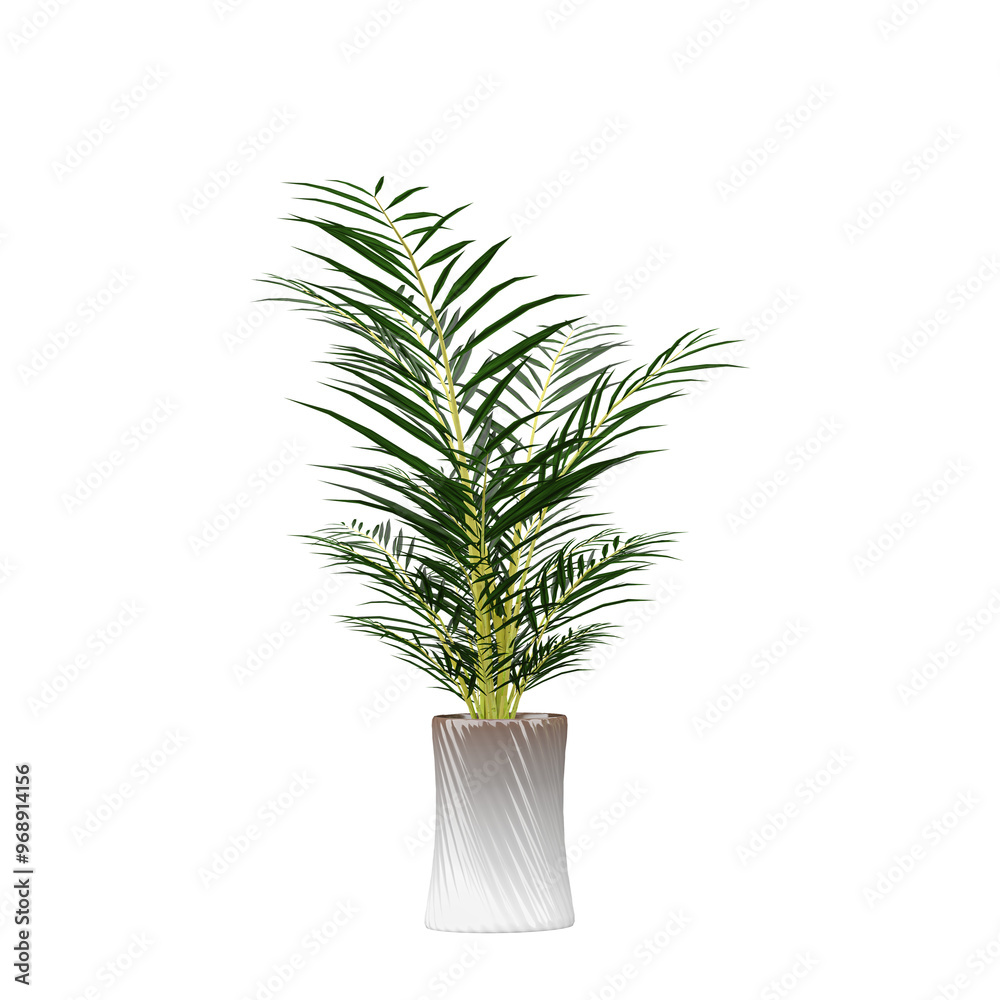 collection of Howea forsteriana plant in pot with realistic style collection of Howea forsteriana plant in pot with realistic style