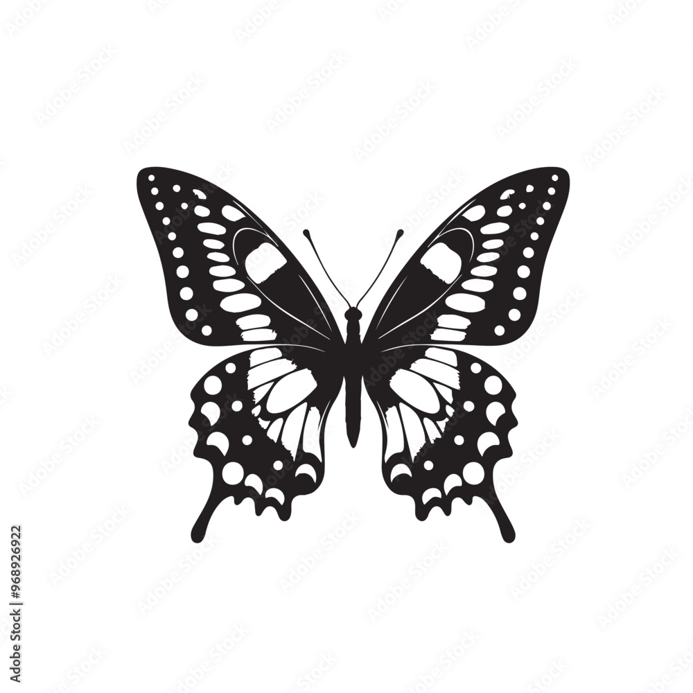 Butterfly silhouette. Butterfly logo vector design isolated on white background. Butterfly silhouette. Butterfly logo vector design isolated on white background.