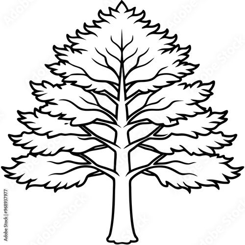 cedar tree outline coloring book page line art drawing