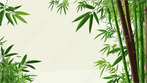 Tropical Bamboo Backdrop in Japanese Minimalist Style