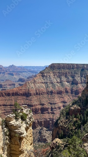 grand canyon state