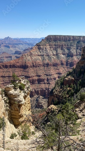 grand canyon state