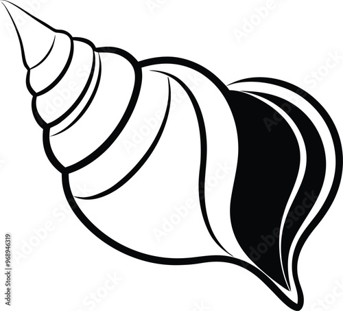 abstract conch shell with smooth curves