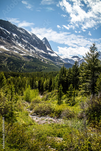 Grinnell Lake trail path way surround by the mountain and wild flower. Glacier national park, Montana, USA.  photo